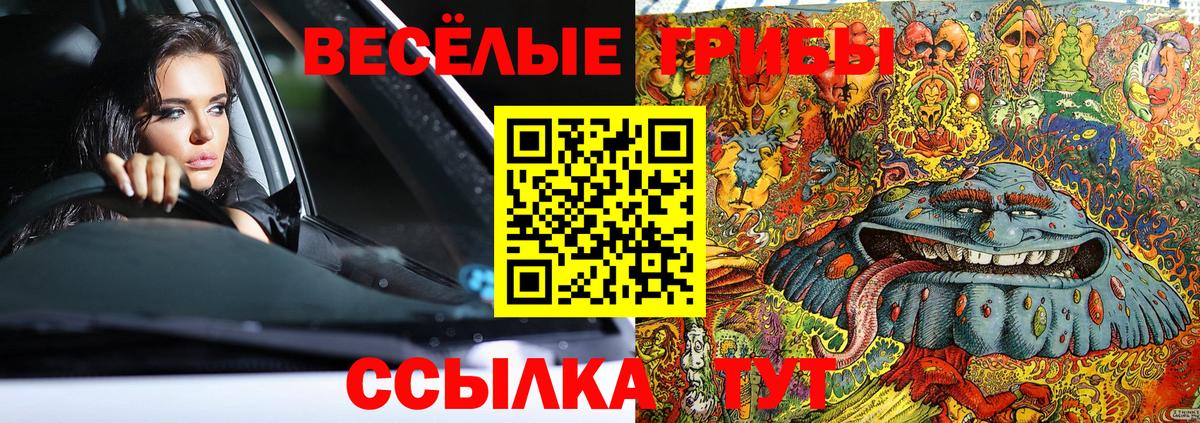 Галлюциногенные грибы ЛСД  что такое наркотик  Вход с VPN  Дивногорск  Псилоцибиновые грибы ЛСД 